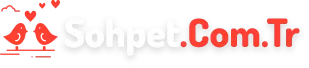 sohbet